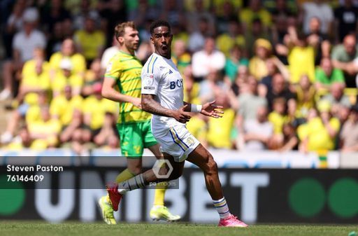 Norwich Leeds Next Game On Sky Norwich City V Leeds United Sky Bet